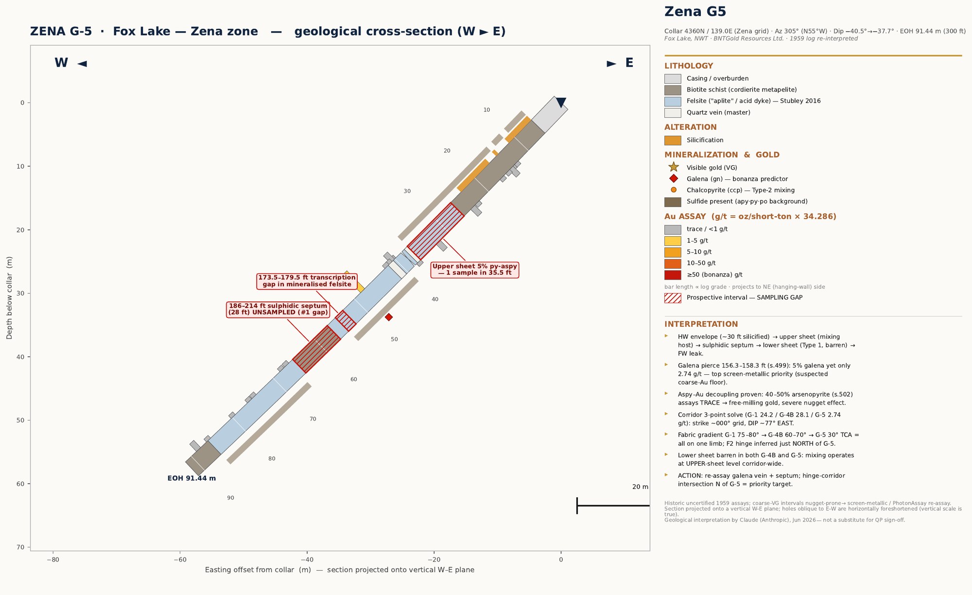 Zena G-5 cross-section